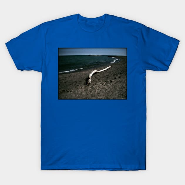 Driftwood T-Shirt by csturman